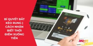 Bí quyết bắt kèo rung